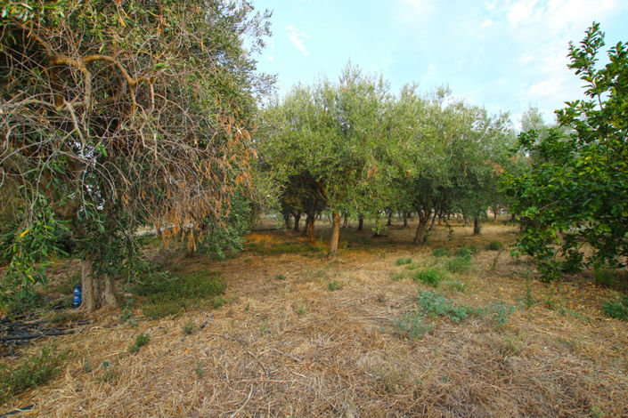 Image No.41-8 Bed House for sale