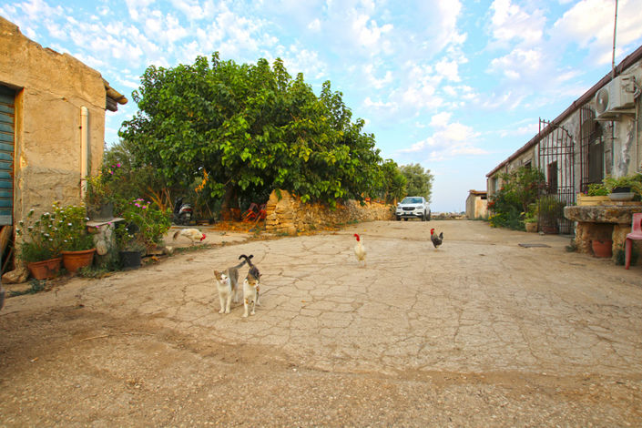 Image No.47-8 Bed House for sale