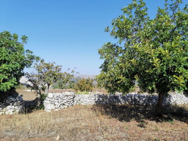 Image No.30-2 Bed Property for sale