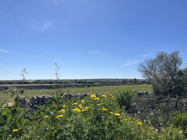 Image No.34-5 Bed Property for sale