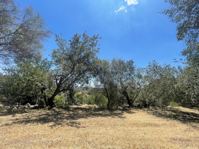 Image No.12-2 Bed Property for sale