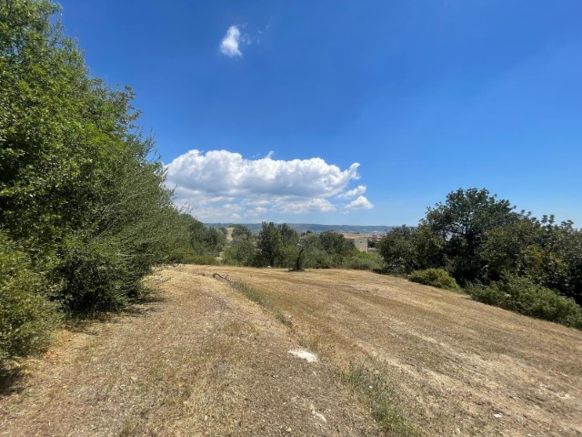 Image No.20-2 Bed Property for sale