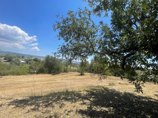 Image No.24-2 Bed Property for sale