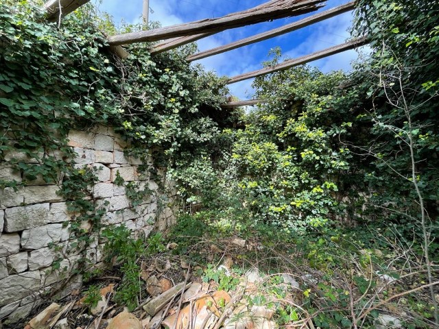 Image No.13-3 Bed Property for sale