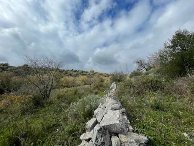 Image No.14-3 Bed Property for sale