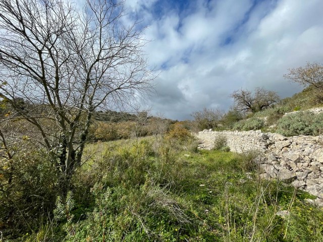 Image No.18-3 Bed Property for sale