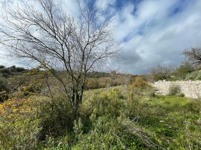 Image No.20-3 Bed Property for sale