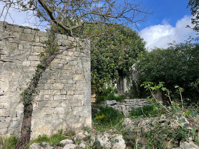 Image No.3-3 Bed Property for sale