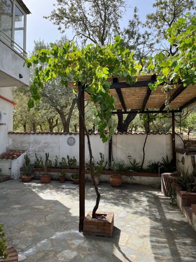 Image No.25-4 Bed Villa for sale