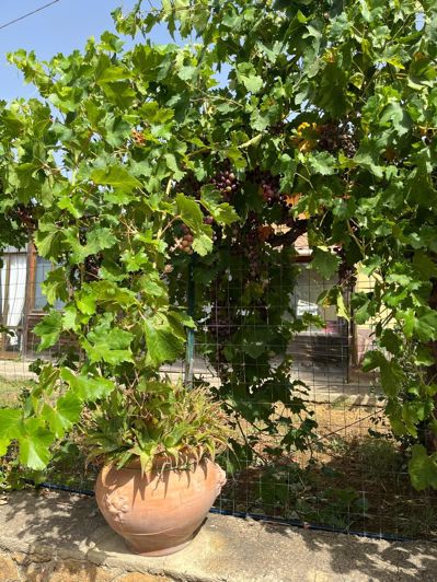 Image No.34-4 Bed Villa for sale