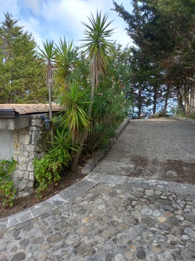 Image No.5-2 Bed Villa for sale