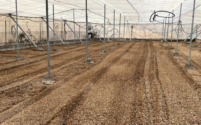 Image No.44-3 Bed Finca for sale