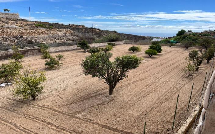 Image No.42-3 Bed Finca for sale