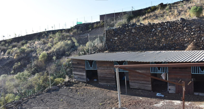 Image No.15-6 Bed Finca for sale