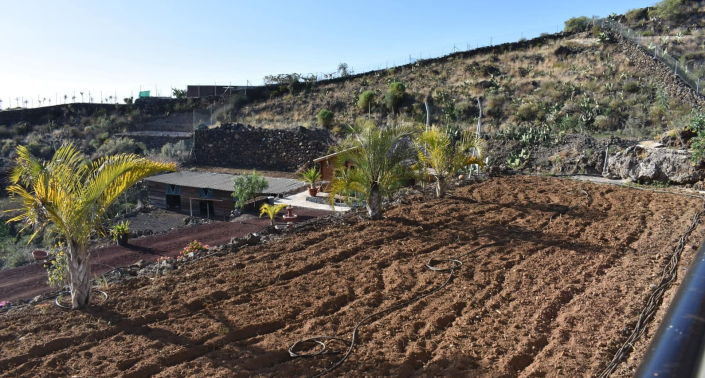 Image No.17-6 Bed Finca for sale