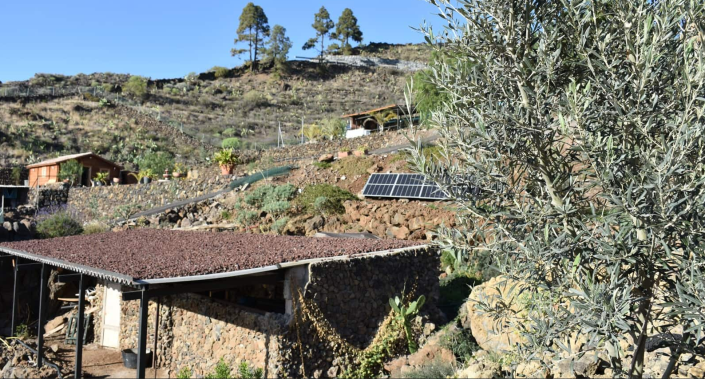 Image No.19-6 Bed Finca for sale