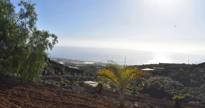 Image No.21-6 Bed Finca for sale