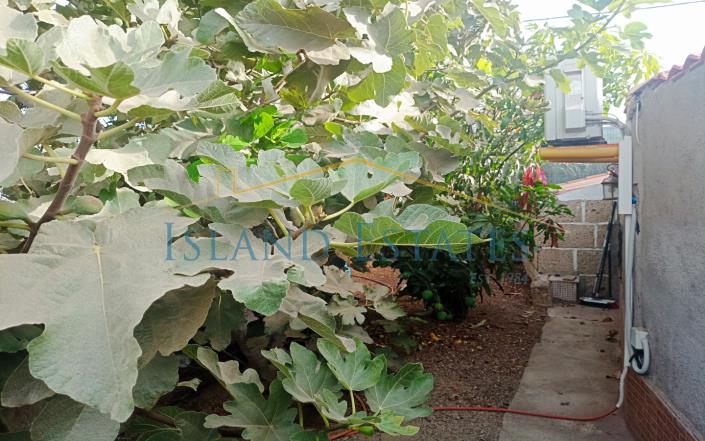 Image No.29-3 Bed Finca for sale