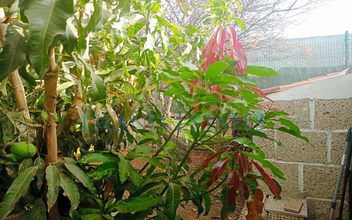 Image No.28-3 Bed Finca for sale