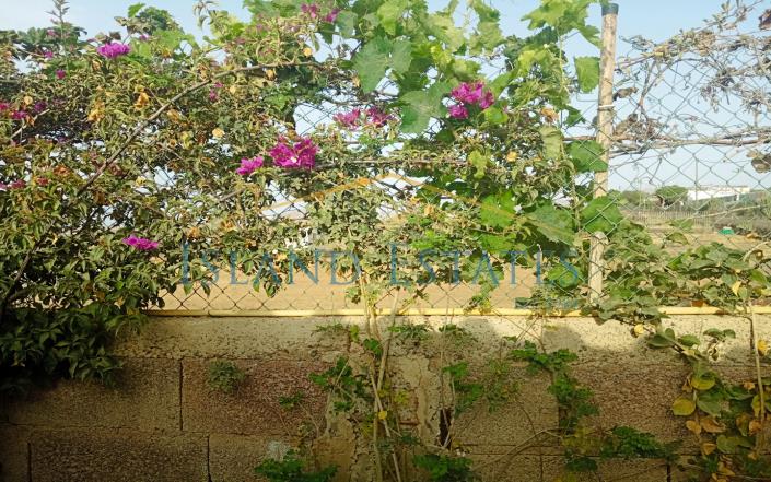 Image No.30-3 Bed Finca for sale