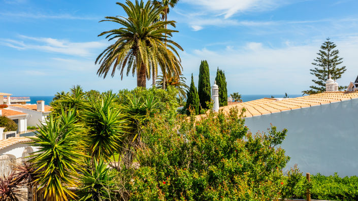 Image No.19-Plot for sale