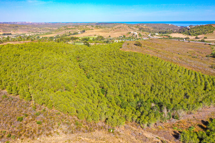 Image No.5-Plot for sale