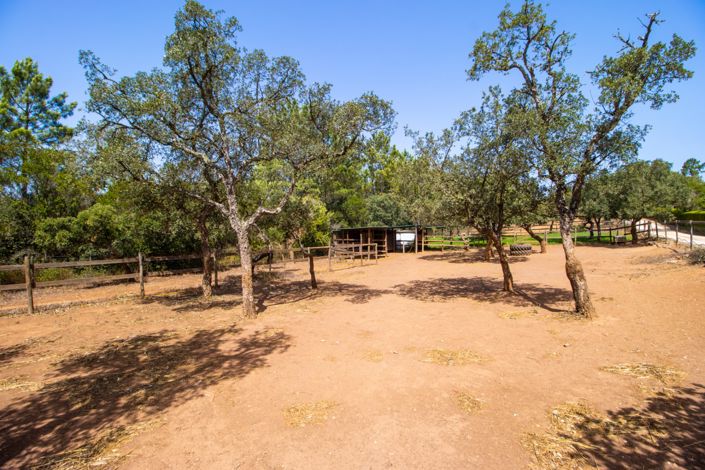 Image No.69-8 Bed Villa for sale