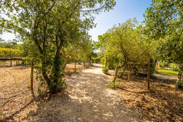 Image No.73-8 Bed Villa for sale