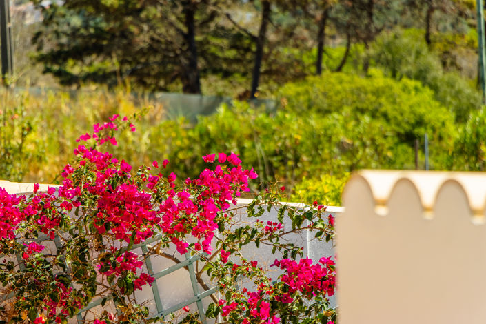 Image No.91-5 Bed Villa for sale