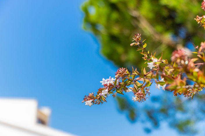 Image No.60-3 Bed Villa for sale