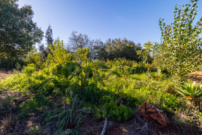 Image No.26-Plot for sale