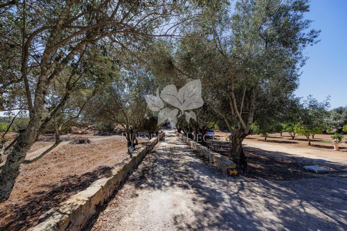 Image No.2-3 Bed Farmhouse for sale