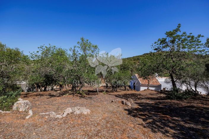 Image No.21-3 Bed Farmhouse for sale