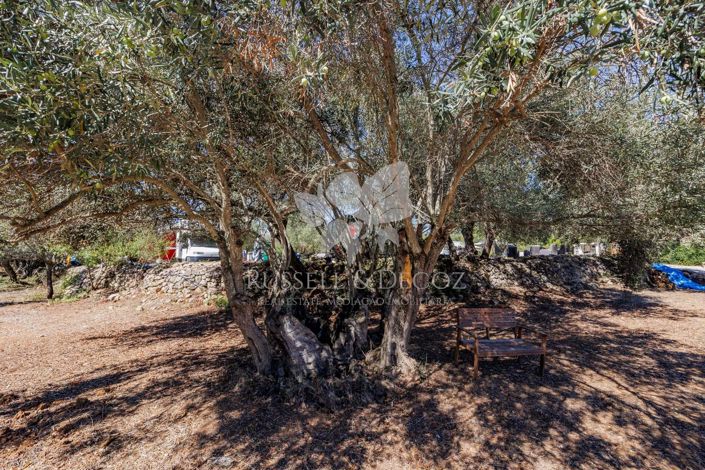 Image No.22-3 Bed Farmhouse for sale