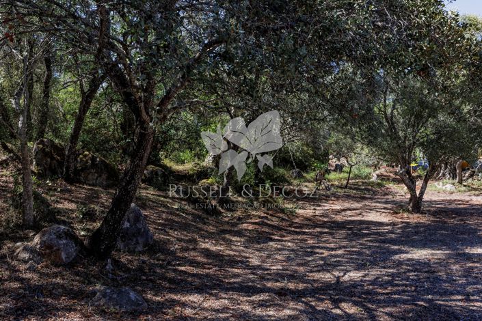 Image No.23-3 Bed Farmhouse for sale