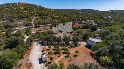 1846-3017-bfde7eb7922dbcdf794f16bbf65701ebb1f