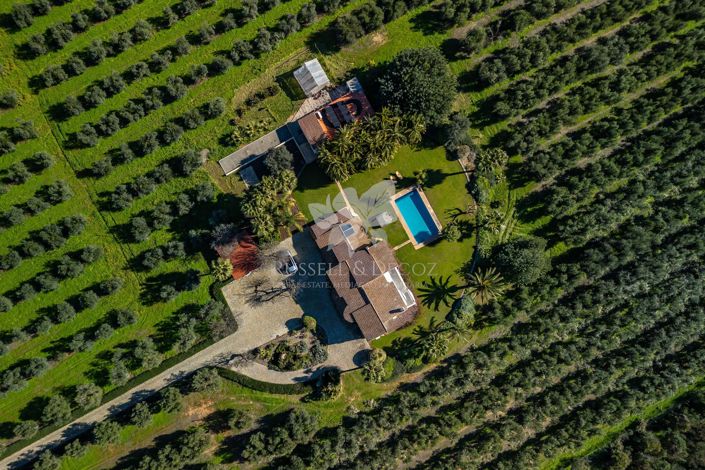 Image No.4-3 Bed Villa for sale