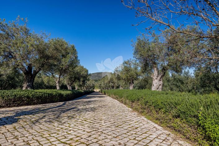 Image No.22-3 Bed Villa for sale