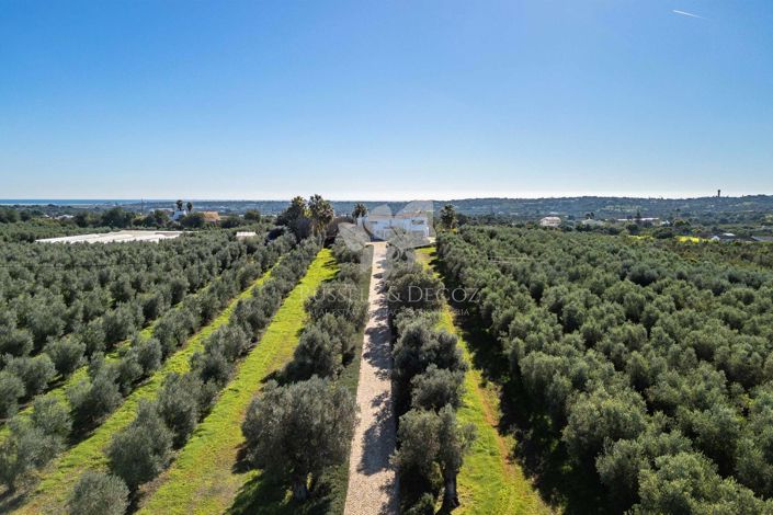 Image No.37-3 Bed Villa for sale