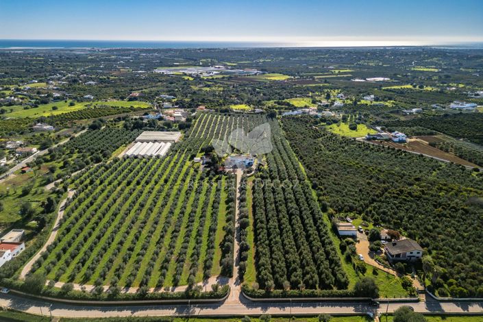 Image No.38-3 Bed Villa for sale