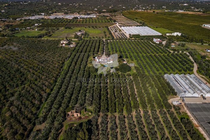 Image No.39-3 Bed Villa for sale