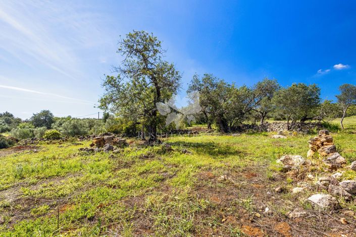 Image No.9-Property for sale