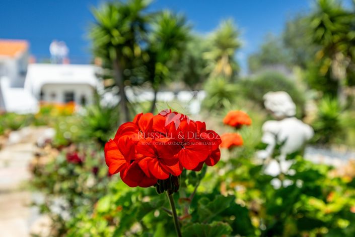 Image No.17-3 Bed Farmhouse for sale