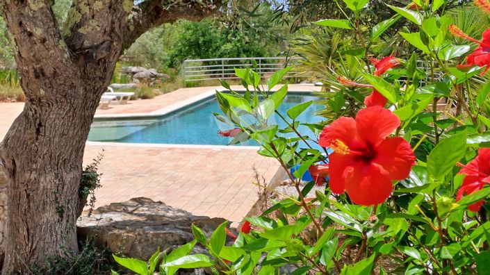 Image No.30-3 Bed Villa for sale