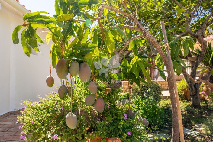 Image No.11-4 Bed Farmhouse for sale