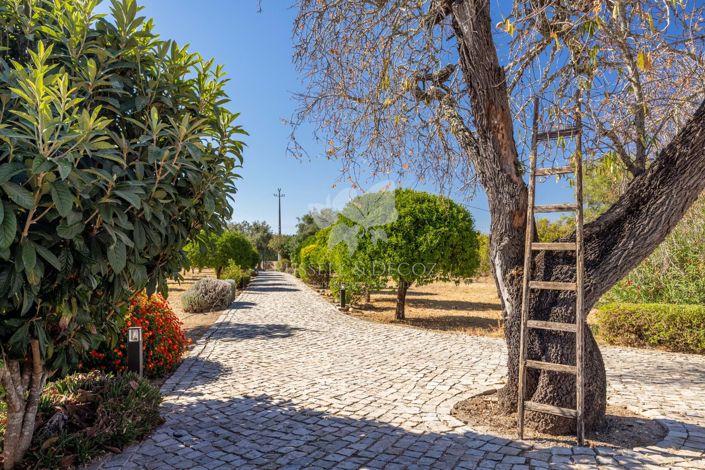 Image No.36-4 Bed Farmhouse for sale