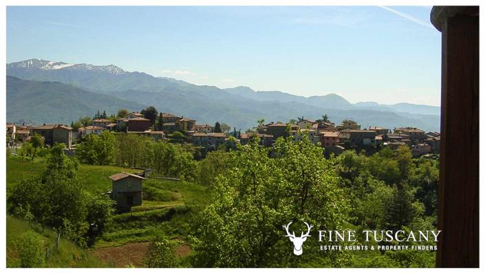 Image No.27-10 Bed Country House for sale