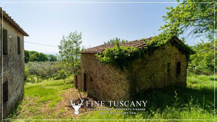 Image No.20-6 Bed Country House for sale