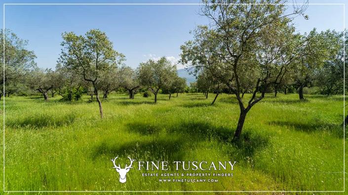 Image No.26-6 Bed Country House for sale