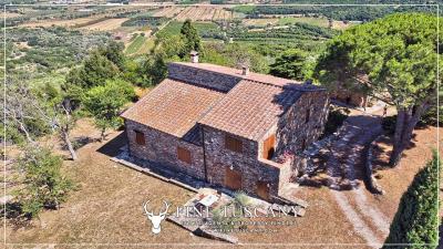 Hilltop-Farmhouse-Estate-for-sale-in-Suvereto-Livorno-Tuscany-Italy-7